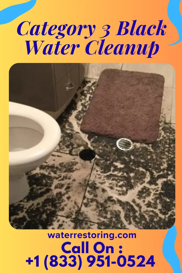 Category 3 Black Water Cleanup in Clayton, MI