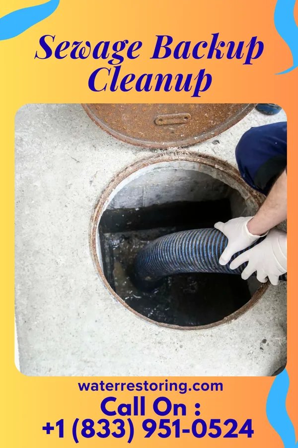 Sewage Backup Cleanup in Clayton, MI