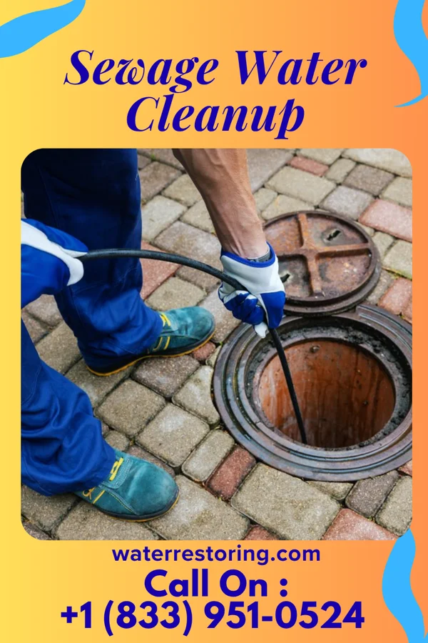 Sewage Water Cleanup in Clayton, MI