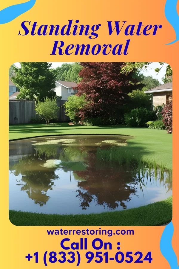Standing Water Removal in Clayton, MI